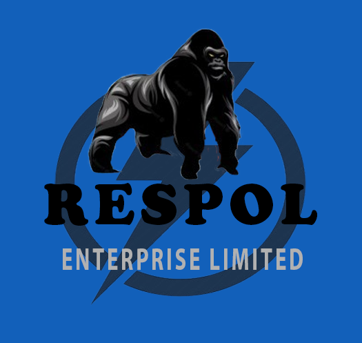 Custom Logo
